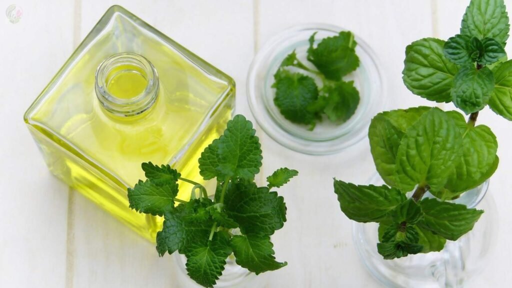 Peppermint Oil