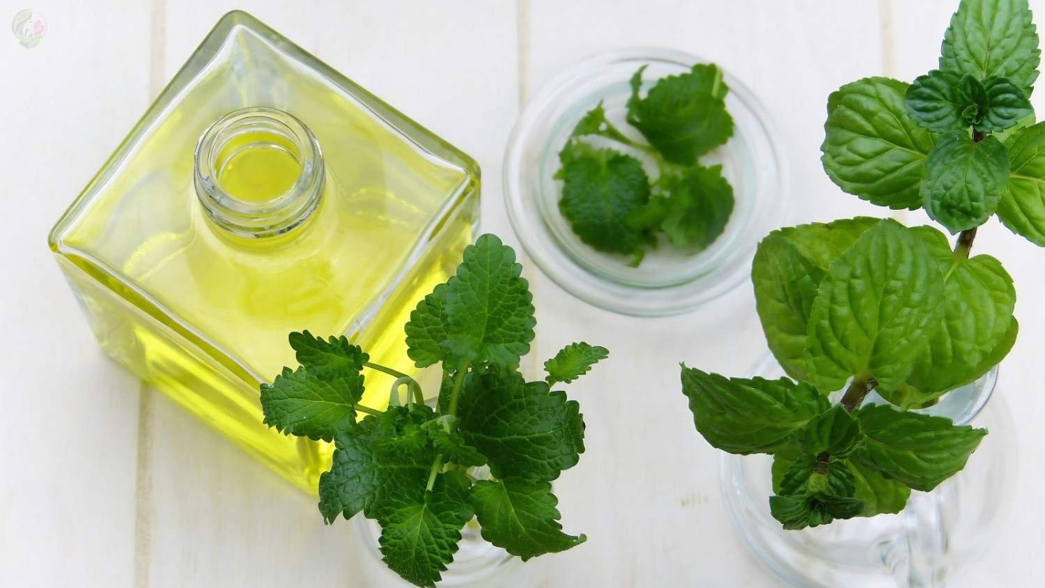 Peppermint Oil